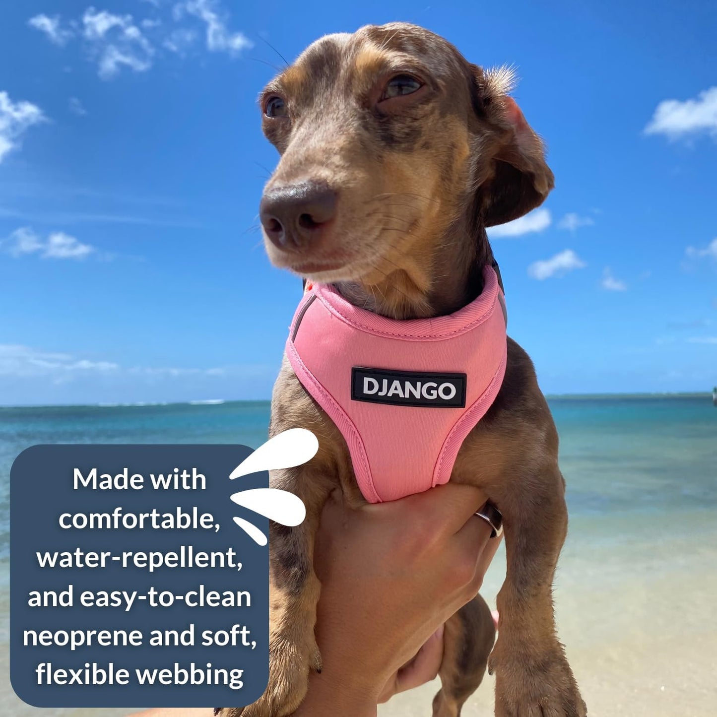 Adventure Dog Harness - Stylish, and Durable Small Dog Harness for Outdoor Adventures and Everyday Wear - Quartz Pink Neoprene Adjustable Harness for Dogs with Reflective Piping, Brass D-Ring
