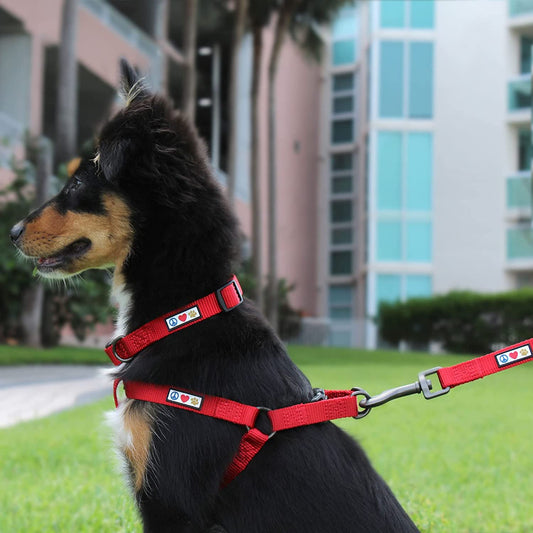 Solid Step-In Dog Harness – Adjustable No-Pull Vest for Puppies to Seniors, Safe & Comfortable L Green
