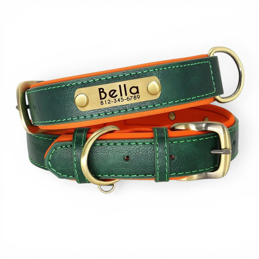 Soft Padded Custom Dog Collar with Free Engraved ID Tag