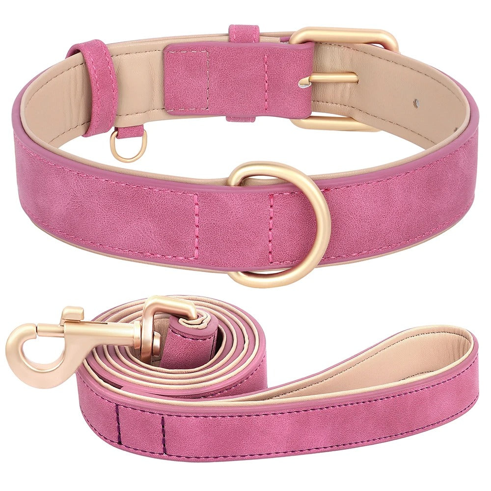 Adjustable Leather Dog Collar & Leash Set for Small Medium Dogs