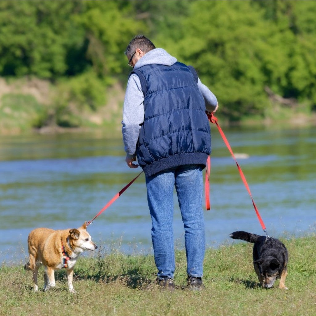 Long Line Dog Leashes & Training Leads