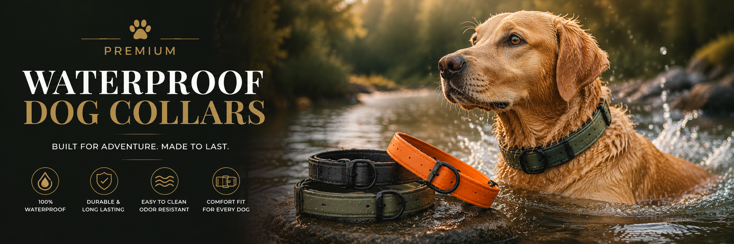 Premium Waterproof & Adventure Dog Collars
