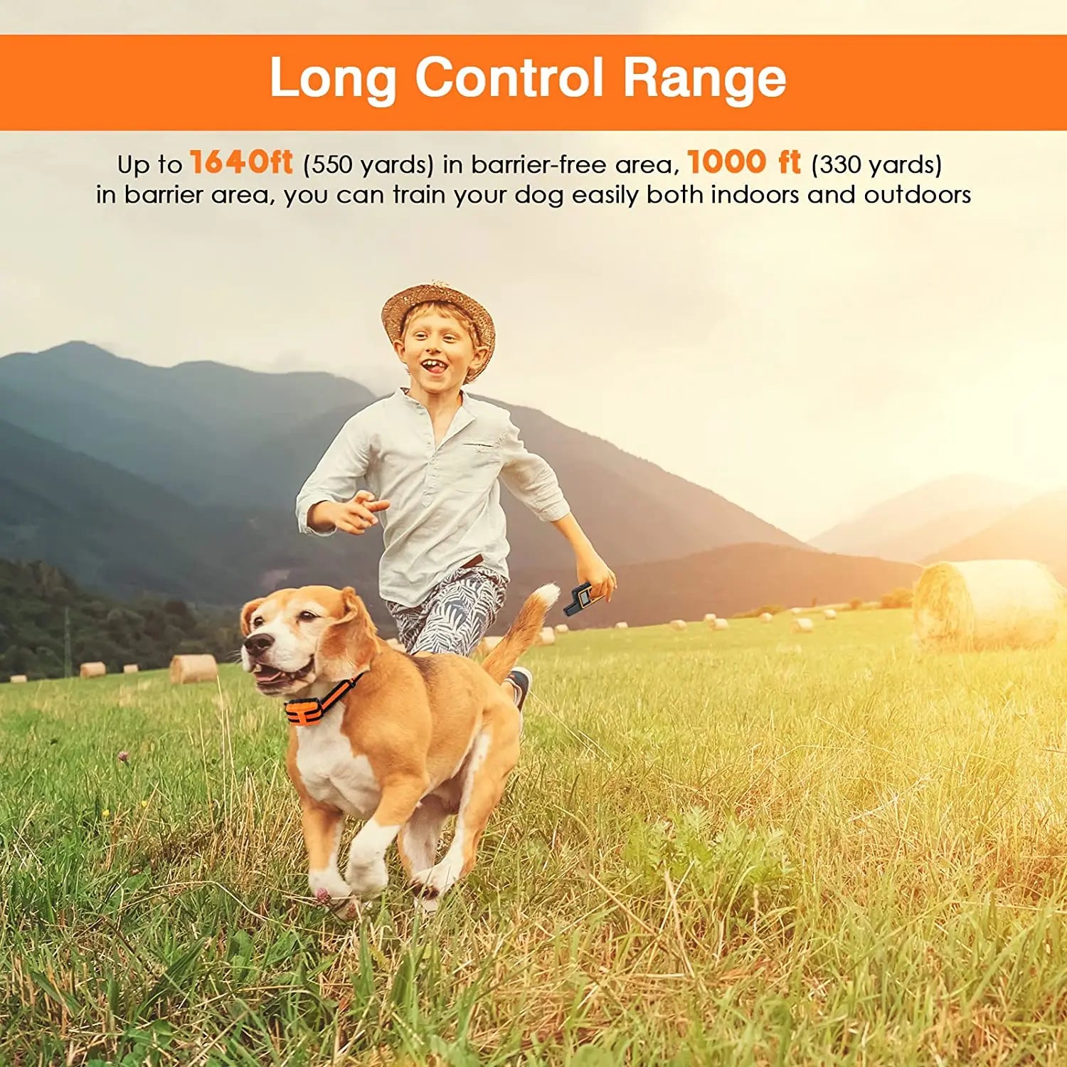 500M Electric Dog Training Collar Waterproof Pet Remote Control Rechargeable Training Dogs Collars with Shock Vibration Sound