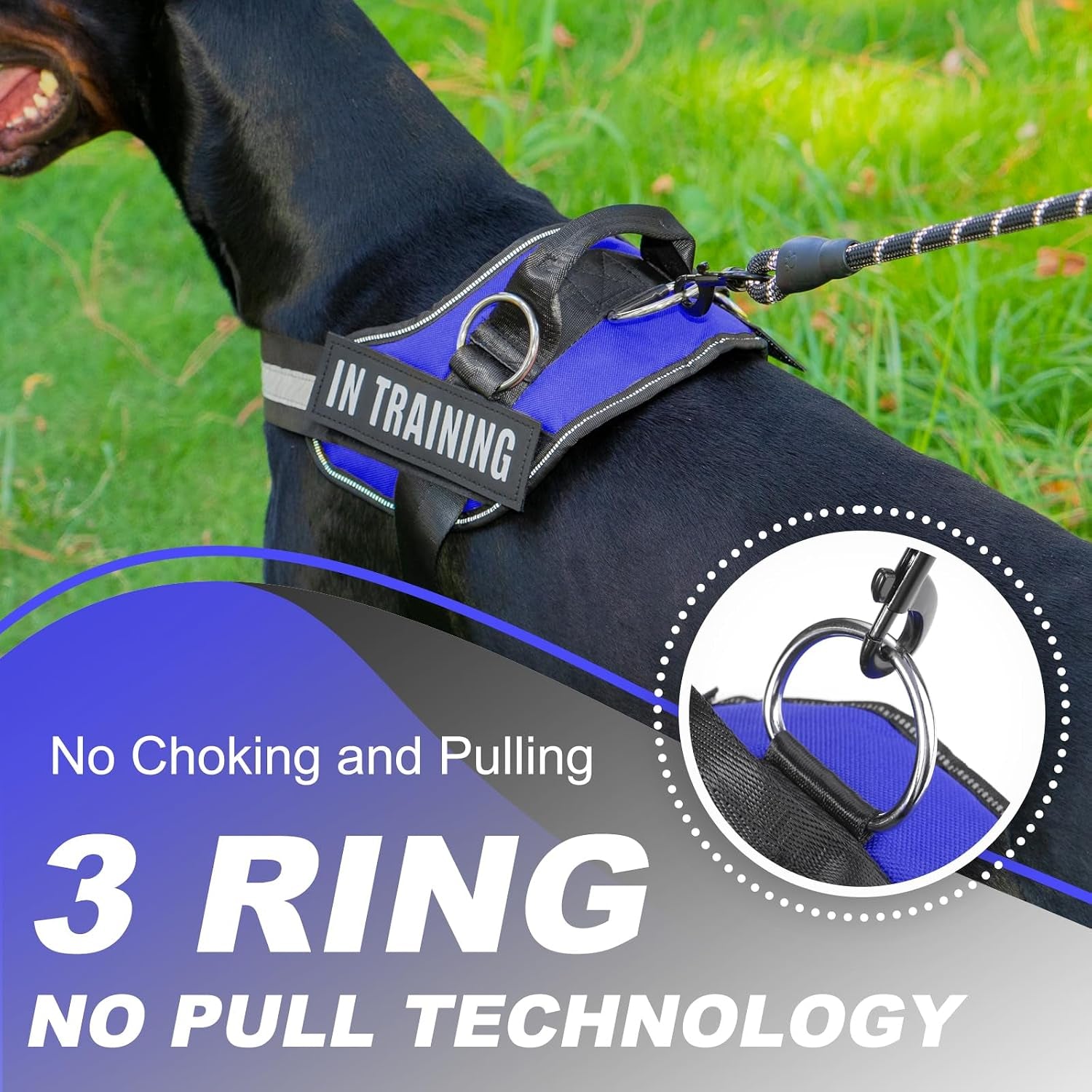 Essential Dog Harness with 3 Leash Clips - No-Pull, Adjustable, Comfortable Pet Vest Harness for Small to Large Dogs - Easy On, No Choke, Reflective, Padded Harness for Walking and Training