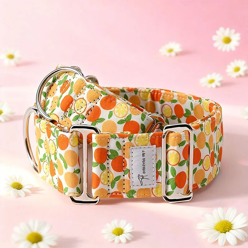 Martingale Dog Collar | Wide Anti-Pull Collar for Sighthounds