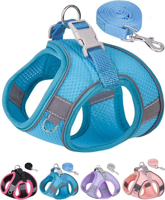Dog Harness for Small Medium Sized Dog, Step in Puppy Harness and Leash Set Training Walking (Blue, XS)