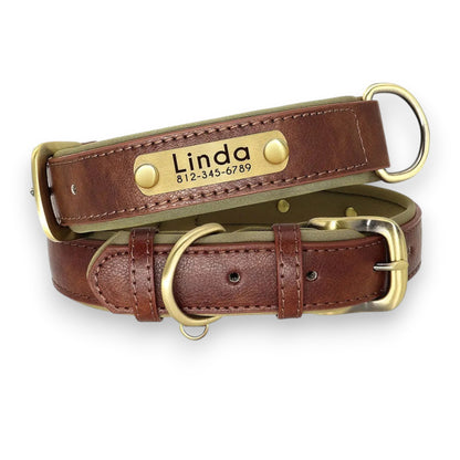 Soft Padded Custom Dog Collar with Free Engraved ID Tag