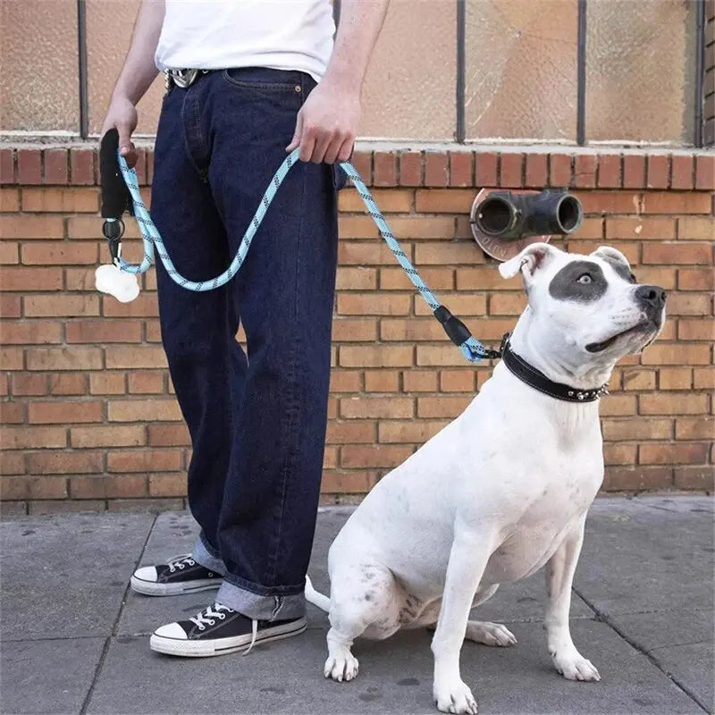 Heavy Duty Reflective Dog Leash with Comfortable Padded Handle