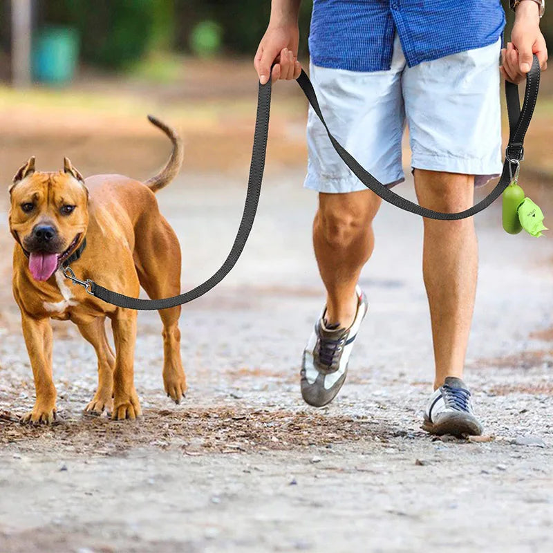 Premium Reflective Pet Walking Leash – Durable Nylon Training Lead with Comfort Grip