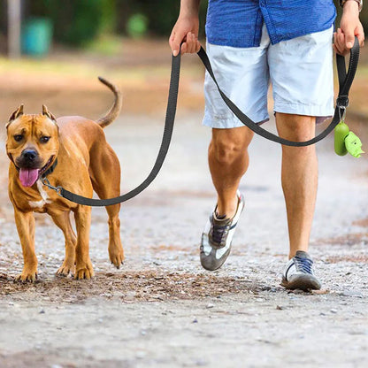 Premium Reflective Pet Walking Leash – Durable Nylon Training Lead with Comfort Grip