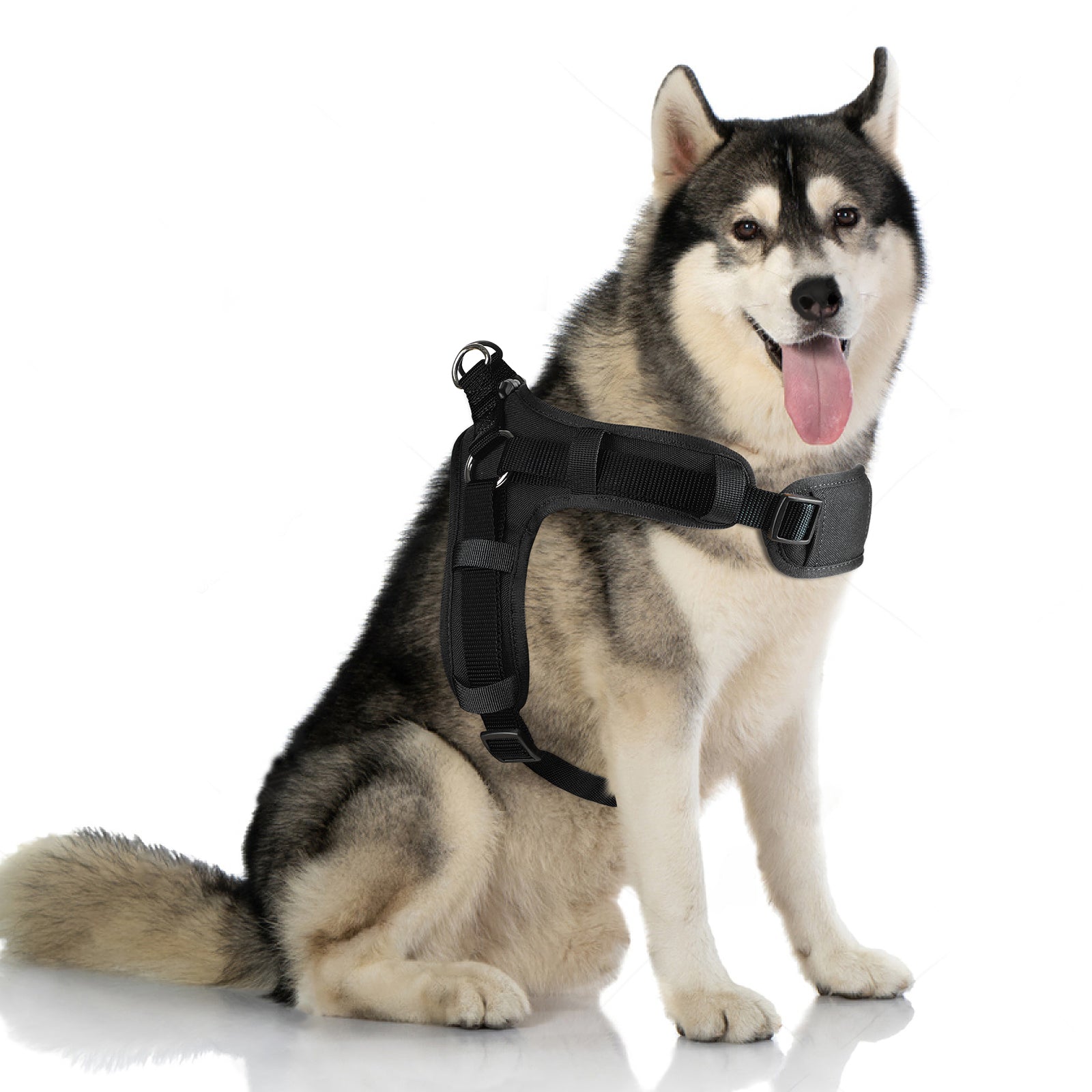 No Pull Dog Harness, Easy Walk Dog Harness,Mesh Breathable Padded Dog Vest Harness Step-In No Choke Adjustable Dog Harness for Small Medium Large Dogs - Black S