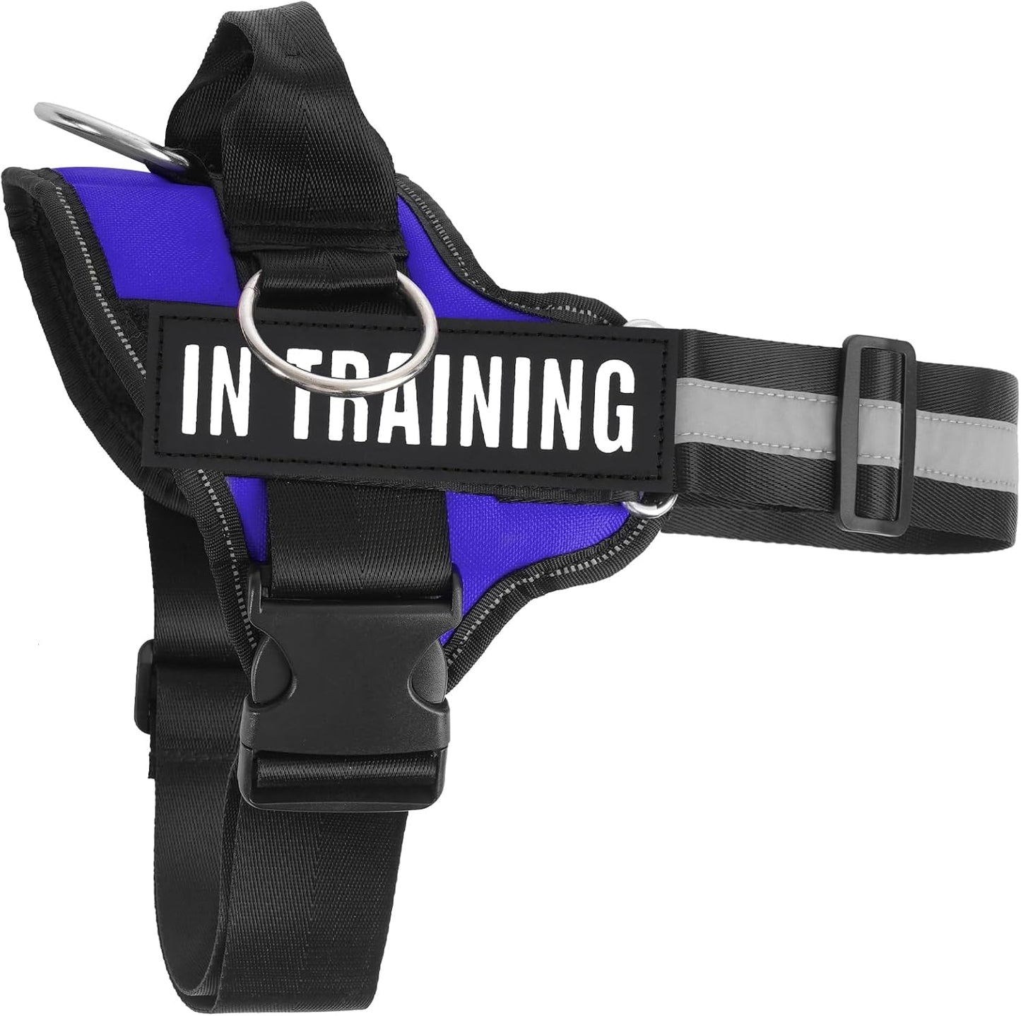 Essential Dog Harness with 3 Leash Clips - No-Pull, Adjustable, Comfortable Pet Vest Harness for Small to Large Dogs - Easy On, No Choke, Reflective, Padded Harness for Walking and Training