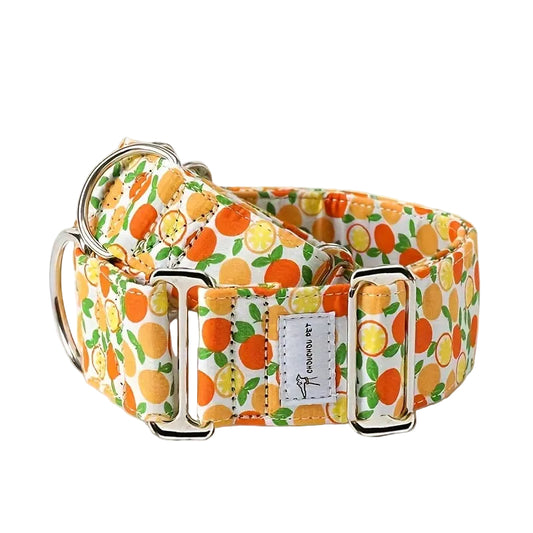 Martingale Dog Collar | Wide Anti-Pull Collar for Sighthounds