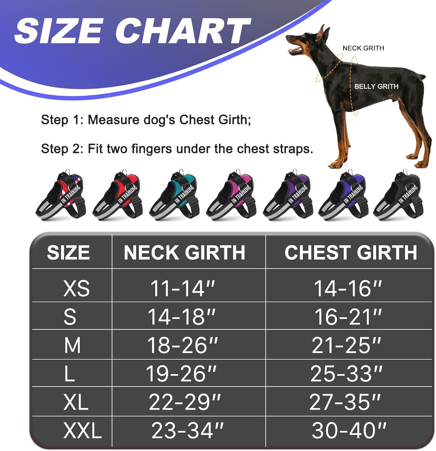 Essential Dog Harness with 3 Leash Clips - No-Pull, Adjustable, Comfortable Pet Vest Harness for Small to Large Dogs - Easy On, No Choke, Reflective, Padded Harness for Walking and Training