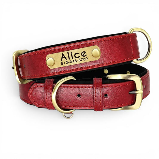 Soft Padded Custom Dog Collar with Free Engraved ID Tag