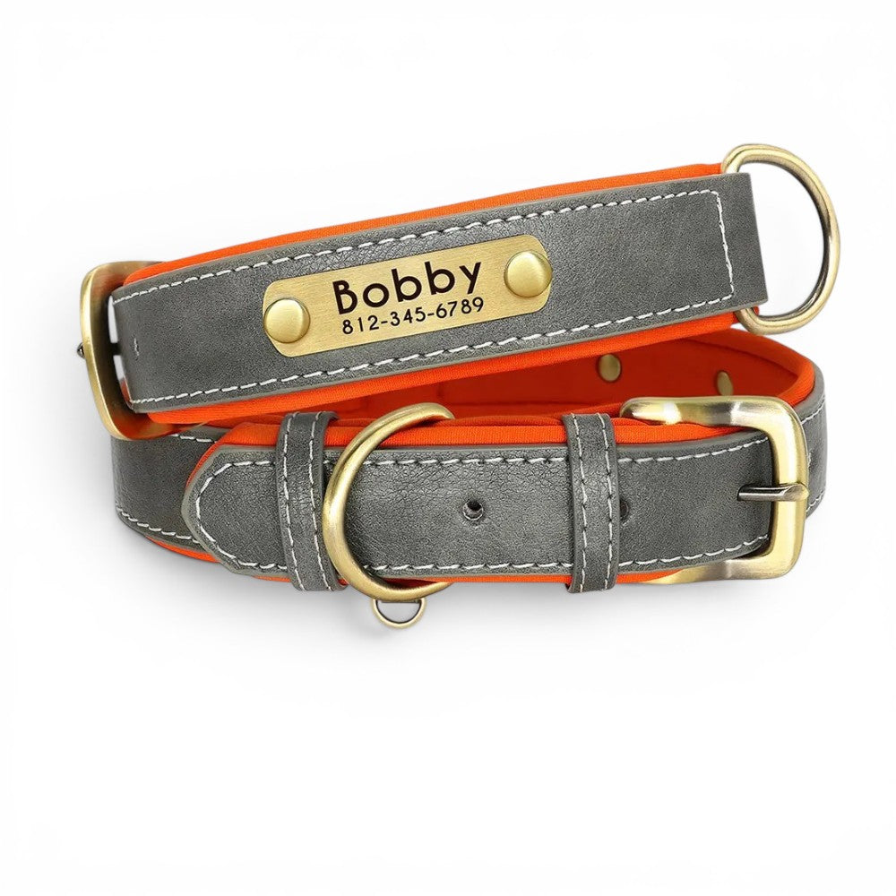 Soft Padded Custom Dog Collar with Free Engraved ID Tag