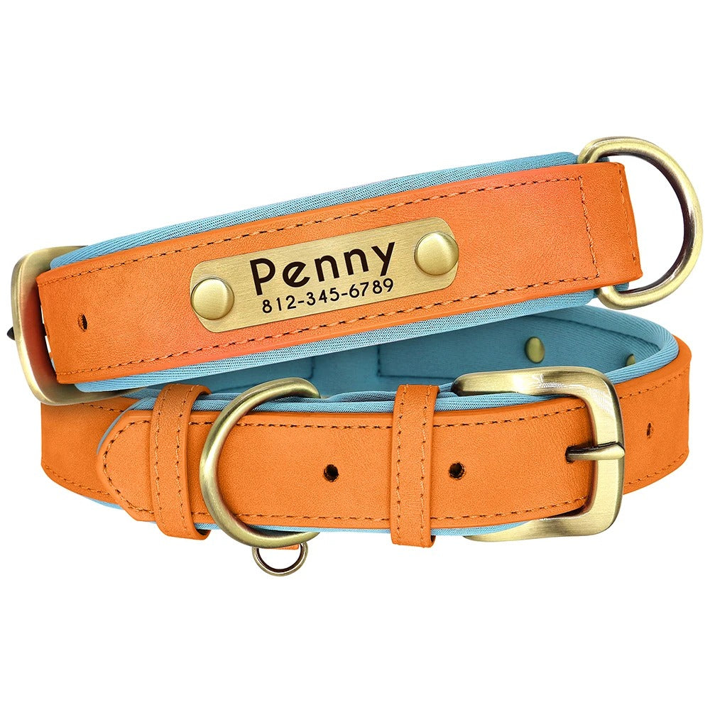 Soft Padded Custom Dog Collar with Free Engraved ID Tag
