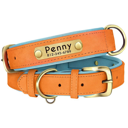 Soft Padded Custom Dog Collar with Free Engraved ID Tag