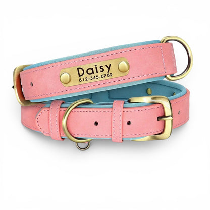 Soft Padded Custom Dog Collar with Free Engraved ID Tag