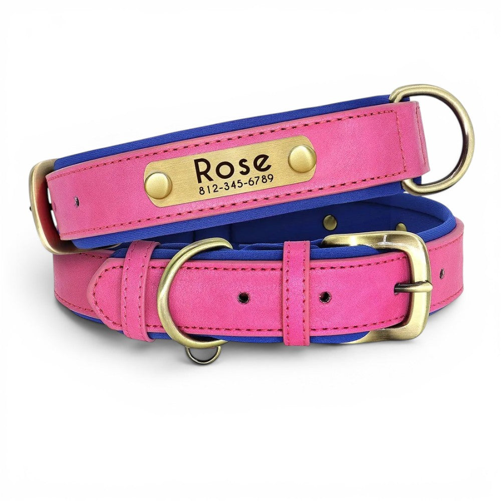 Soft Padded Custom Dog Collar with Free Engraved ID Tag