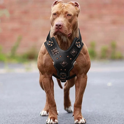 Premium Genuine Leather Dog Harness for Large Dogs Durable Heavy Duty Control Vest for German Shepherd, Pitbull & Big Breeds