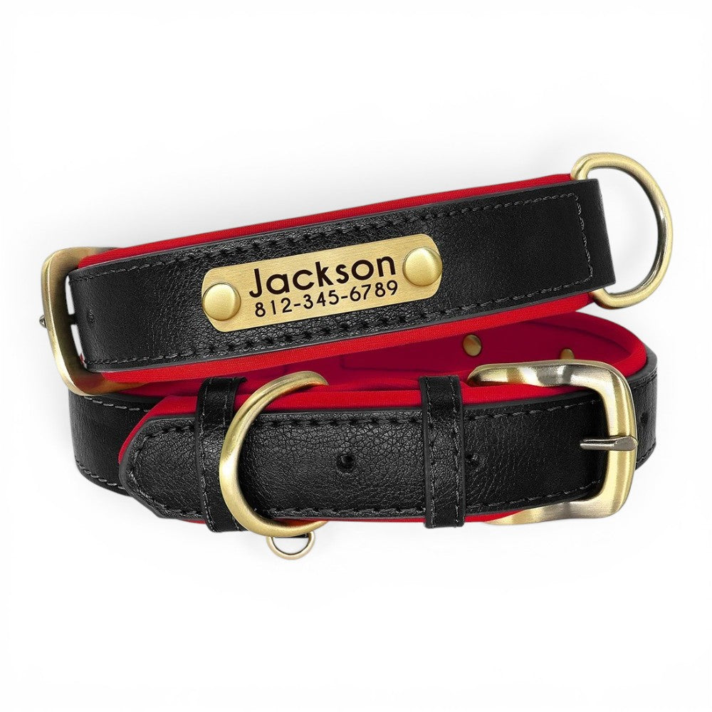 Soft Padded Custom Dog Collar with Free Engraved ID Tag