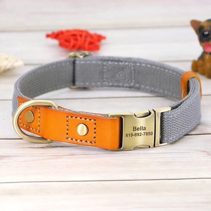 Durable Personalized Nylon Dog Collar for All Sizes