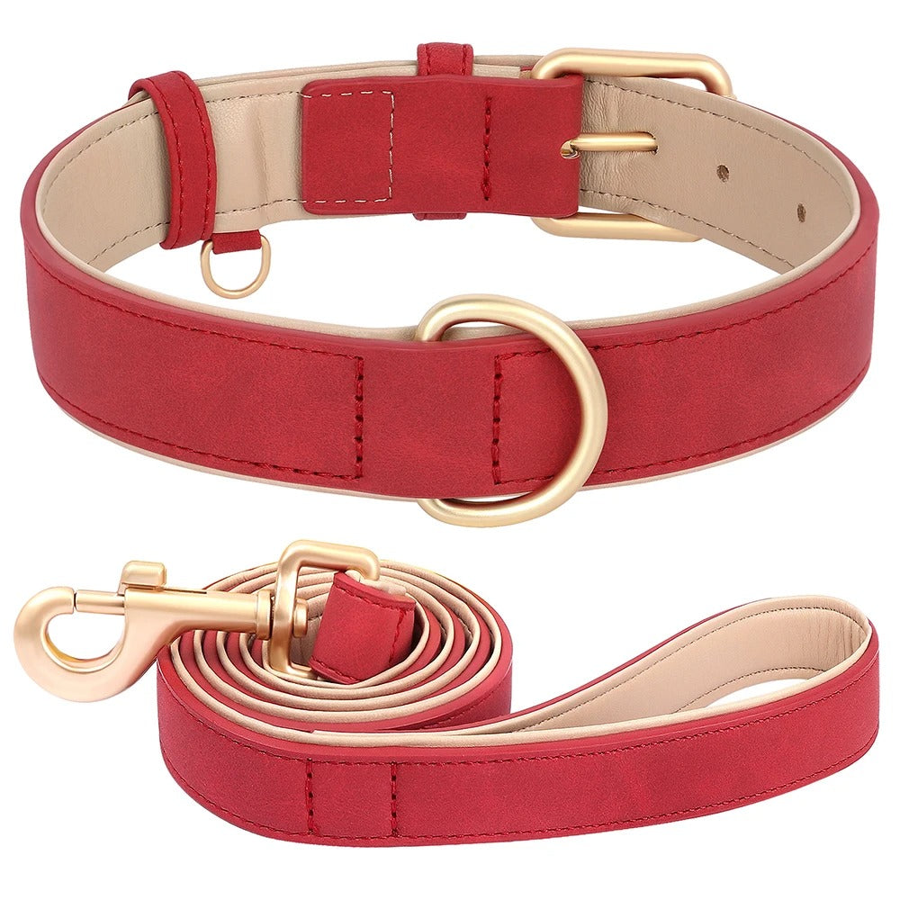Adjustable Leather Dog Collar & Leash Set for Small Medium Dogs