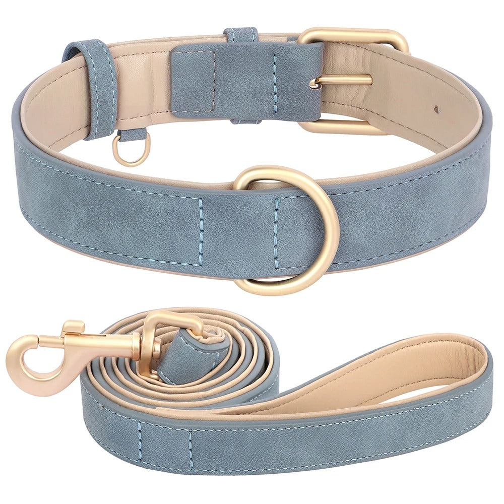 Adjustable Leather Dog Collar & Leash Set for Small Medium Dogs